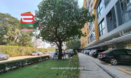 ขายคอนโด - คอนโดมิเนียม ดิเอ็กเซล คูคต (ใกล้โลตัสลำลูกกาคลอง 2) เนื้อที่ 35.77 ตรม. ตำบลคูคต อำเภอลำลูกกา จังหวัดปทุมธานี