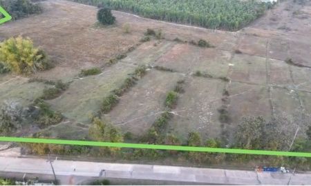 ขายที่ดิน - ขายที่ดินสวย 55 ไร่ ตำบลโพธิ์ชัย อ.เมือง จ.หนองคาย