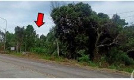 ขายที่ดิน - ขายที่ดิน 3แปลง ต.ไม้รูด อ.คลองใหญ่ ตราด 92-2-39 ไร่ ติดที่ดินตะกาดยาวสาธารณประโยชน์ แยกจากถนนสายไม้รูด-คลองมะไร