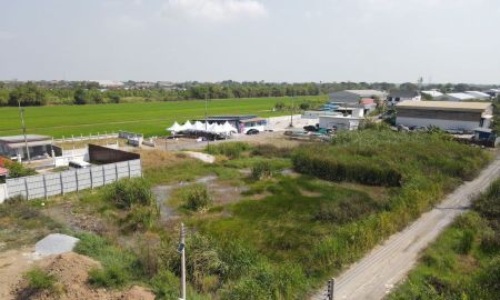 ขายที่ดิน - ที่ดิน ที่สวย ทำเลดี คลอง 10 ลำลูกกา จ.ปทุมธานี