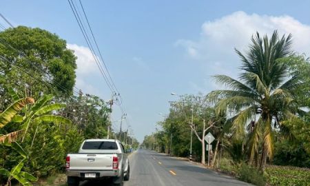 ขายที่ดิน - ขายที่ดินเหมาะทำบ้านสวนเกษตร คลอง 11 อ.หนองเสือ จ.ปทุมธานี