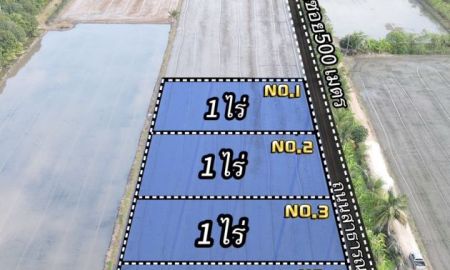 ขายที่ดิน - ขายที่ดินเหมาะทำบ้านสวนเกษตร คลอง 11 อ.หนองเสือ จ.ปทุมธานี