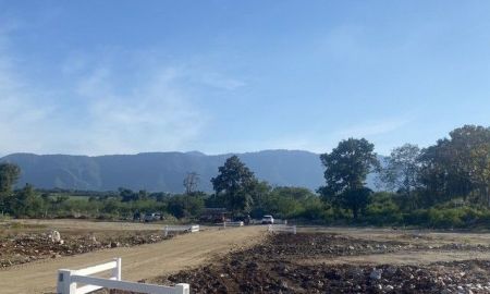 ขายที่ดิน - ที่เขาใหญ่หมูสีโฉนดครุฑแดง วิวเขาลูกโต376ตรว.น้ำไฟnetมีหลายแปลง ปากช่อง โคราช o86-3ol-6l6l