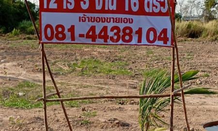 ขายที่ดิน - ขายที่ดินเปล่า ทำเลศักยภาพสูง เมืองชลบุรี