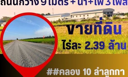 ขายที่ดิน - ขายที่ดิน คลอง 10 ลำลูกกา ถนนหลักคลอง 10 ฝั่งตะวันออก ตำบล บึงทองหลาง อำเภอลำลูกกา ปทุมธานี