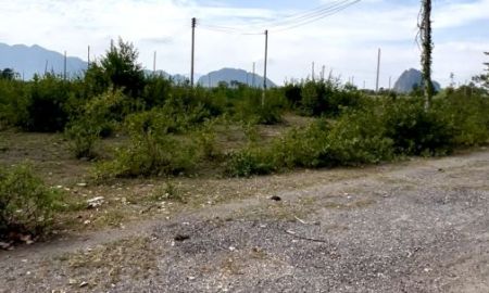 ขายที่ดิน - สนใจที่ดินเปล่า พื้นที่ 50 ตารางวา ใกล้หาดชะอำ เจ้าของขายเอง สนใจดูรายละเอียดได้ค่ะ