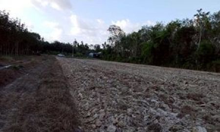 ขายที่ดิน - ขายที่ดินติดถนน 4018 พร้อมสวนไม้เศรษฐกิจ อ.ชะอวด จ.นครศรีธรรมราช