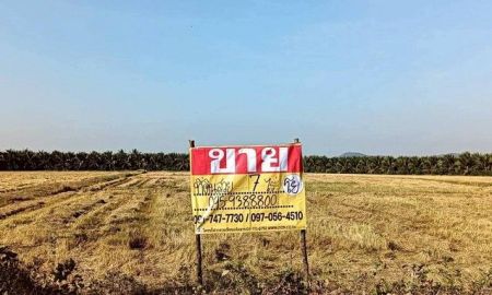 ขายที่ดิน - ขายที่ดิน 7 ไร่ อยู่ในซอยตรงข้ามวัดแคทราย ใกล้ถนนเพชรเกษม สี่แยกห้วยชินสีห์ เมืองราชบุรี ZW648