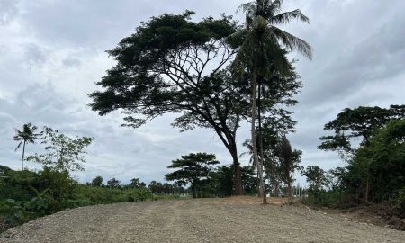 ขายที่ดิน - ขายที่ดินเปล่า ทำเลศักยภาพสูง ติดคลองแม่ประจันต์ อำเภอท่ายาง จังหวัดเพชรบุรี