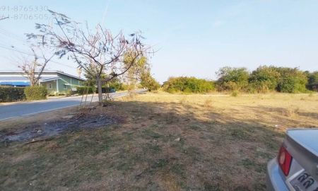 ขายที่ดิน - ขายที่ดินกำแพงแสน นครปฐม 53ตรว ติดถนนลาดยาง ใกล้ตัวจังหวัด เหมาะค้าขาย ปลูกบ้าน ที่สูง ขายราคาถูก