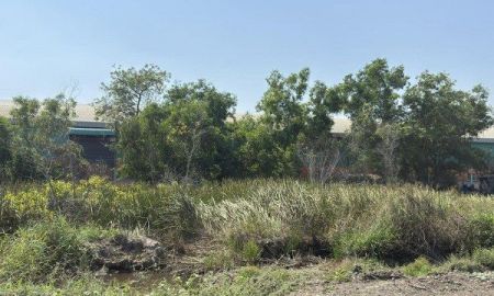 ขายที่ดิน - ขายที่ดินซอยการไฟฟ้าฝ่ายผลิตวังน้อย (รหัสทรัพย์ 202609) ต.ข้าวงาม อ.วังน้อย จ.อยุธยา