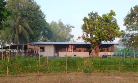 ขายที่ดิน - ขายที่ดินแปลงใหญ่ 33 ไร่ ใกล้แม่น้ำโขง อ.ศรีเชียงใหม่ จ.หนองคาย