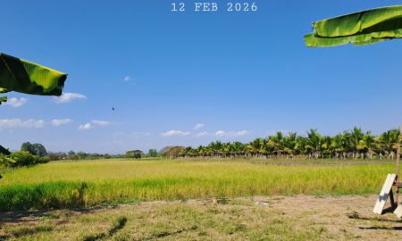 ขายที่ดิน - ขายไร่นาสวนผสมมีโฉนด 8 ไร่กว่า ติดถนนลาดยาง ห่างเซเว่นเพียง 400 เมตร