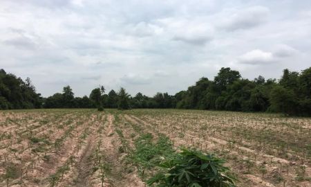 ขายที่ดิน - ขายที่ดินหนองเหียง 7 ไร่ ซอยวัดหนองสังข์ ติดถนน2ด้าน ใกล้ถนน331-5กม. อ.พนัสนิคม ชลบุรี