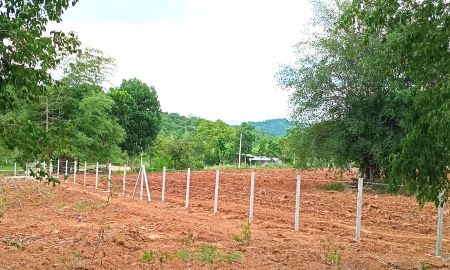 ขายที่ดิน - 1-3-36 ไร่ โฉนดครุฑแดง ที่ดิน มวกเหล็ก สระบุรี