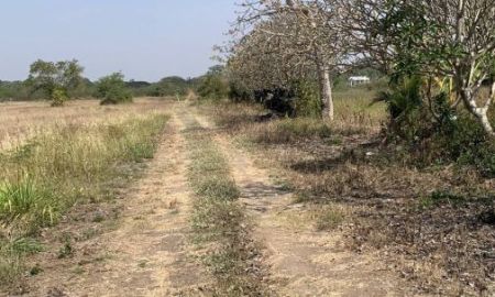 ขายที่ดิน - ขายที่ดิน 7 ไร่ ปากช่อง-เขาใหญ่ (แบ่งขายได้) ต.หนองน้ำแดง ที่ดินห่างจากถนนธนะรัชต์ 2.2 กิโล