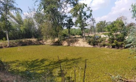 ขายที่ดิน - ขายที่ดินพร้อมบ้านเดี่ยวชั้นเดียว เนื้อที่ 5 ไร่ 1 งาน 3 ตารางวา