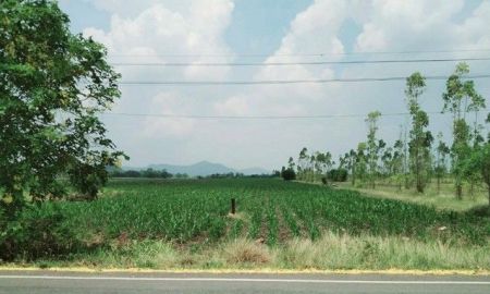 ขายที่ดิน - ขายที่ดิน 12ไร่86ตรว. 5.6ล้านบาท รวมโอน ไร่ข้าวโพด ถนน วิวเขา ต.ช่องสาริกา อ.พัฒนานิคม ลพบุรี