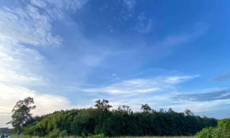 ขายที่ดิน - ขายที่ดินใกล้นิคมเกตเวย์ แปลงยาว ฉะเชิงเทรา 23-1-71ไร่ สีม่วงลาย เหมาะทำ โรงงาน โกดัง คลังสินค้า บ้านจัดสรร