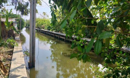 ขายที่ดิน - ที่ดินติดคลองสวย ทำเขื่อนแล้ว ซอยแสงสีสันต์ ต.ศาลากลาง อ.บางกรวย จ.นนทบุรี เนื้อที่ 1-0-47 ไร่ (447 ตรว.) สวย