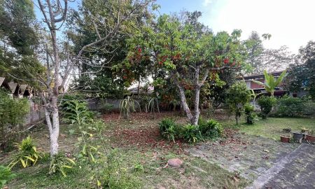 ขายที่ดิน - ขายที่ดินตำบลสุเทพห่างบ้านข้างวัดเพียง 2 นาที พร้อมโอน