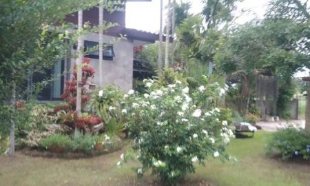 ขายบ้าน - ขายบ้าน สวน ใน บ้านทรายทอง ตำบลเสด็จ เมืองลำปาง