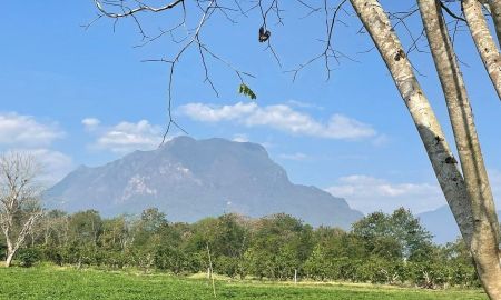 ขายที่ดิน - ขายที่ดินติดน้ำปิงวิวดอยหลวงชัดเจนโฉนดพร้อมโอน