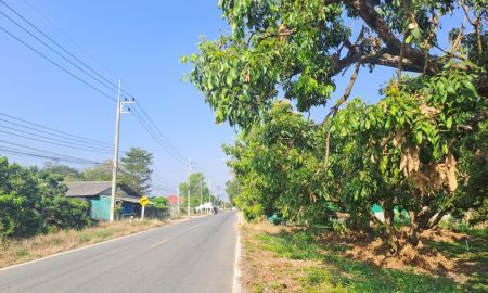 ขายที่ดิน - ขายสวนลำไยติดทางหลวง 4020 บ้านหนองยวง อ.เวียงหนองล่อง จ.ลำพูน