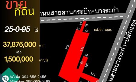 ขายที่ดิน - ที่ดินบางระกำ พิษณุโลก 25-0-95 ไร่ ติดถนนหลวงถึง 2 ด้าน (ถนน 1065, 1281) โอกาสทองที่ไม่ควรพลาด!