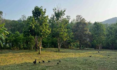 ขายที่ดิน - ขายที่ดิน ทำเลดี ใกล้ทะเล เกาะช้าง จังหวัดตราด