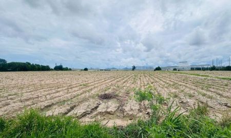 ขายที่ดิน - ขายที่ดินสวย ติดโรงงานอมตะชิตี้ระยอง มาบยางพร ปลวกแดง