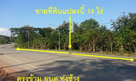 ขายที่ดิน - ขายที่ดินเปล่า 14 ไร่ ตำบลทุ่งช้าง ตรงข้าม อบต.ทุ่งช้าง อ.ทุ่งช้าง จ.น่าน