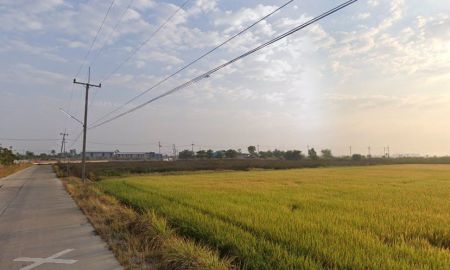 ขายที่ดิน - ขายที่ดินบางเตยสีม่วงลาย 8 ไร่ ติดถนนลาดยาง ใกล้ถนนสุวินทวงศ์ 304 2.5 กม. เมือง ฉะเชิงเทรา