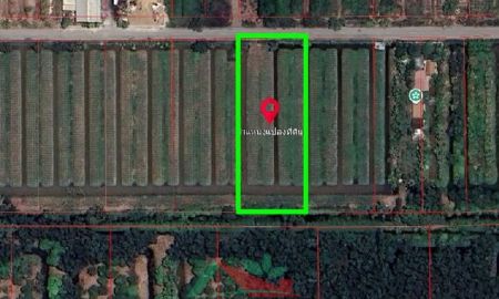 ขายที่ดิน - ขายที่ดินเปล่า800ตรว. ถ.เลียบคลองหนองเสือ คลอง8 ราคาพร้อมคุย