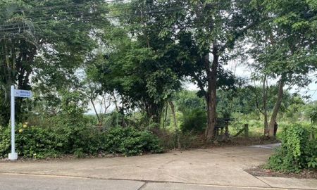 ขายที่ดิน - ขาย ที่ดินสวย ทำเลศักยภาพ ใจกลางเมือง..หลังค่ายตากสิน..เนื้อที่ 14 ไร่เศษ