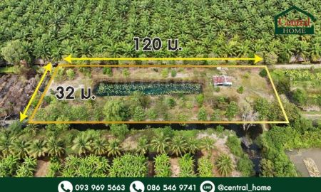 ขายที่ดิน - ที่ดินเปล่า 2-1-60 ไร่ คลอง 12 หนองเสือ ปทุมธานี