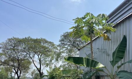 ขายที่ดิน - ขายโกดัง คลอง 7 ทำเลธุรกิจ ใกล้ ลำลูกกา จ.ปทุมธานี พร้อมใช้งาน ราคา 6.9 ล้าน