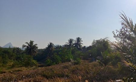 ขายที่ดิน - ขายที่ดินเกษตร ภบท5 รวม 5 ไร่ แปลงที่ดนติดถนนลาดยาง และติดลําห้วย