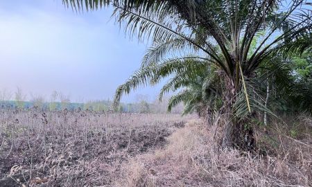 ขายที่ดิน - ขายที่ดิน 9ไร่2งาน 76ตารางวา ราคา3,330,000