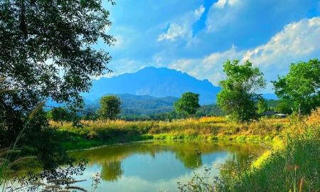 ขายที่ดิน - ขายที่ดินตำบลแม่นะวิวดอยหลวงติดลำห้วยโฉนดพร้อมโอน