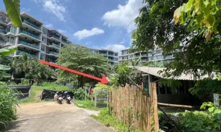 ขายที่ดิน - ขายที่ดินตำบลช้างเผือกช่างเคี่ยงทำเลดีโฉนดพร้อมโอน