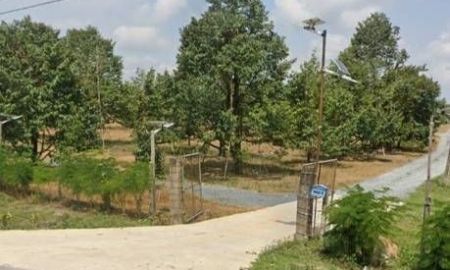 ขายที่ดิน - ต้องการขายสวนทุเรียนหมอนทอง72ไร่ อ.ท่าใหม่ จ.จันทบุรี