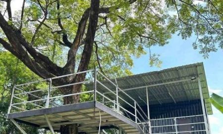 ขายที่ดิน - ขายที่ดินตำบลช้างคลานกลางเมืองเชียงใหม่พร้อมโอน