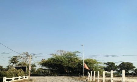 ขายที่ดิน - ที่ดินแบ่งขาย 5 แปลงๆละ 100 ตารางวา คลองสิบสอง หนองจอก กรุงเทพฯ