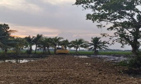 ขายที่ดิน - ขายที่ดิน เนื้อที่ 2 ไร่ สวนเกษรถูกมาก รูปทรงที่ดินสวย คลองสิบสอง หนองจอก