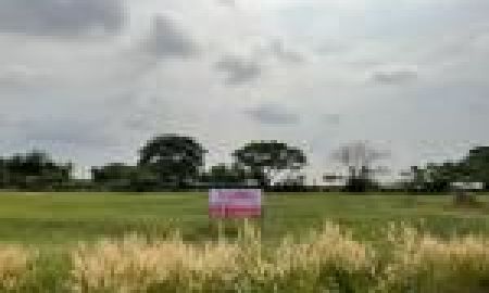 ขายที่ดิน - ขายที่ดิน มีนบุรี ทำเลดี ติดถนนหลัก เดินทางสะดวก