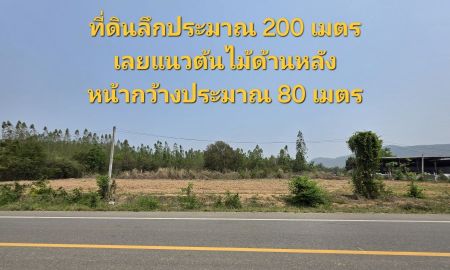 ขายที่ดิน - ขายที่ดินทำเลดี ห้วยขมิ้น ด่านช้าง (เจ้าของขายเอง)