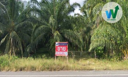 ขายที่ดิน - ประกาศขายด่วนที่ดินใกล้โรงพยาบาลป่าพะยอม