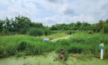 ขายที่ดิน - ขายที่ดินสวย 1 ไร่เศษ ซอยกำนันสมจิตร บางบัวทอง ทำเลดีใกล้มอเตอร์เวย์ และเซ็นทรัลเวสต์เกต เพียง 7 กม. ราคาสุดคุ้ม!