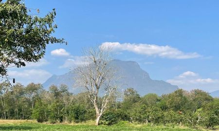 ขายที่ดิน - ขายที่ดินตำบลเชียงดาวติดแม่น้ำปิงวิวดอยหลวง เชียงดาวพร้อมโอน
